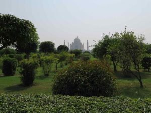 Mughal Garden Taj Mahal