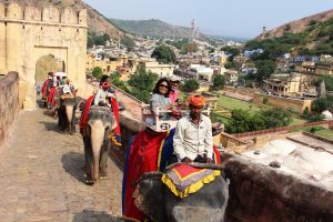 Amber Fort Elephant Safari, Jaipur